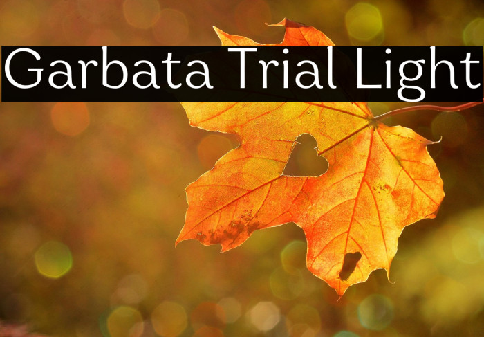 Garbata Trial Light Example 1