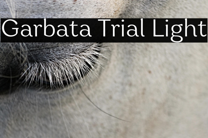 Garbata Trial Light Example 3