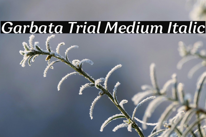 Garbata Trial Medium Italic Example 3