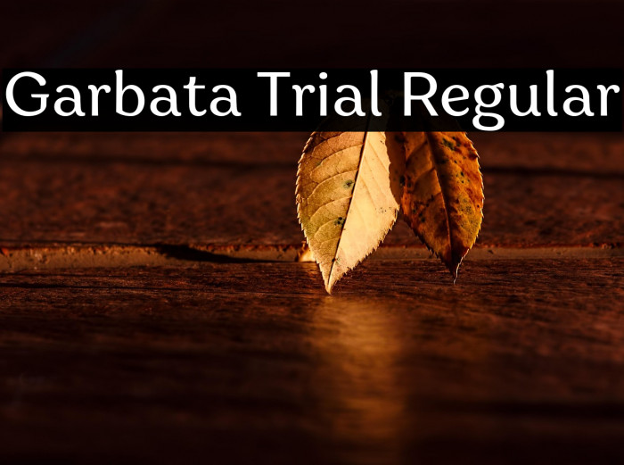 Garbata Trial Regular Example 2