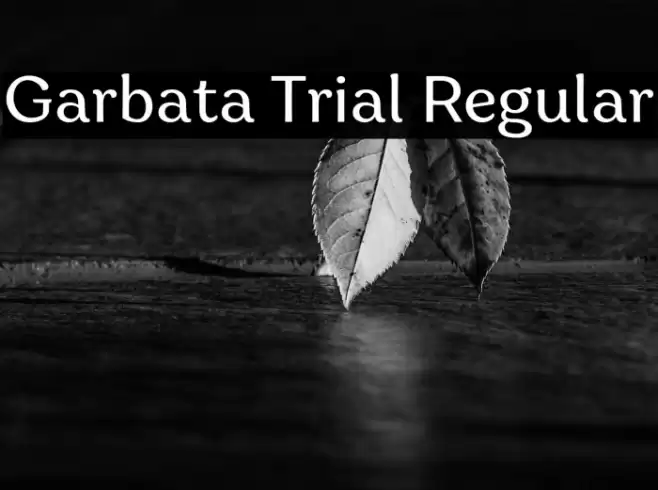 Garbata Trial Regular Font examples