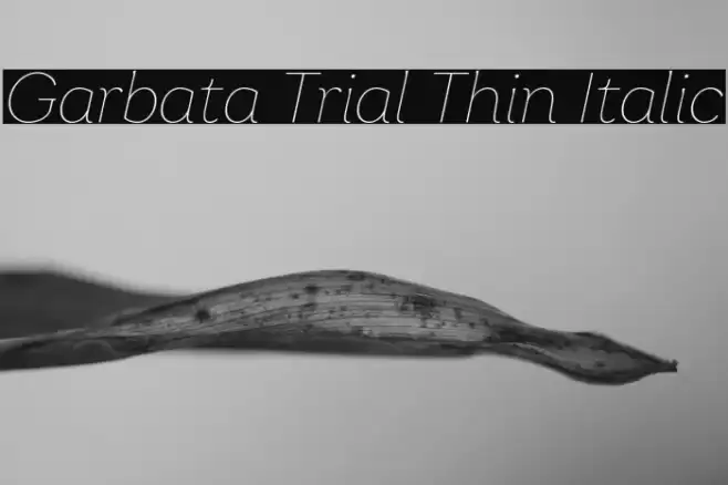 Garbata Trial Thin Italic Font examples