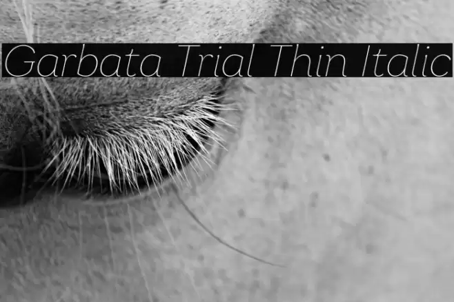 Garbata Trial Thin Italic Font examples