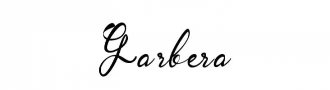 Garbera  font caratteri gratis
