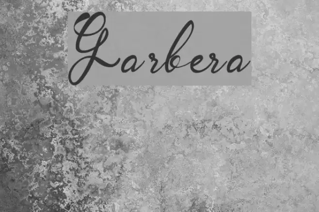 Garbera Font examples