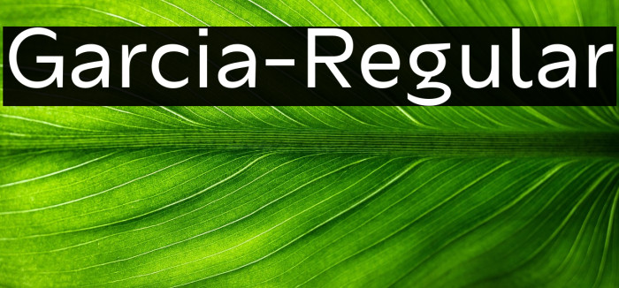 Garcia-Regular Example 2