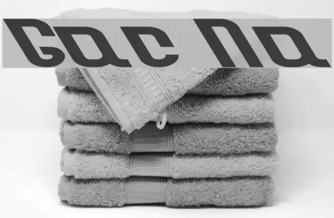 Garcon Normal Font examples