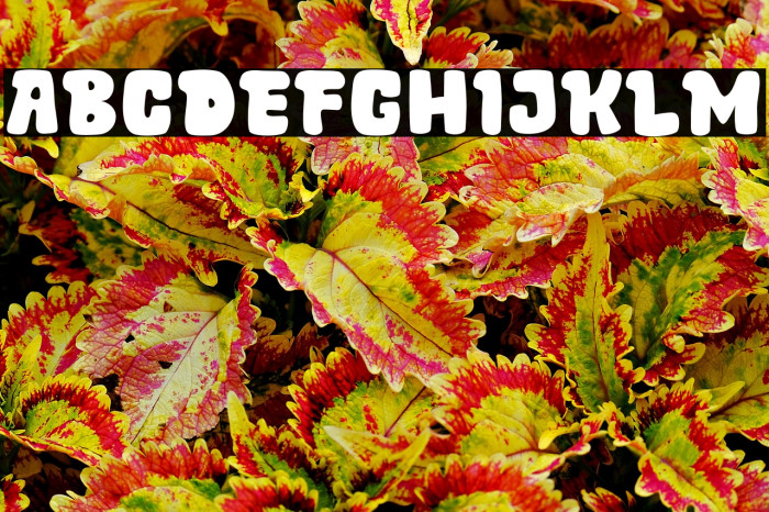 Garden Farm Example 2