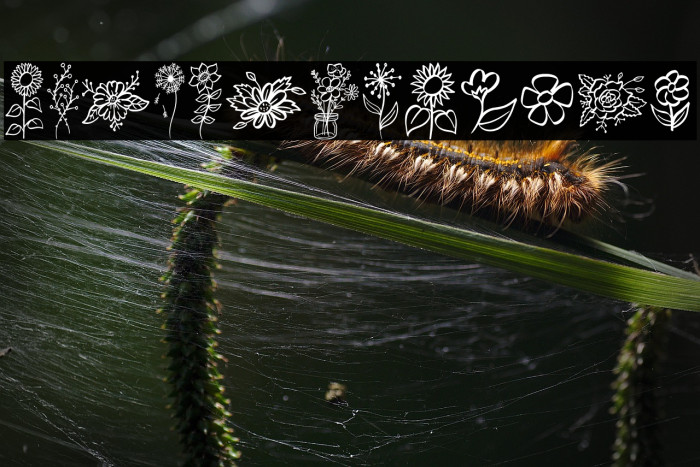 Garden Flowers Example 1