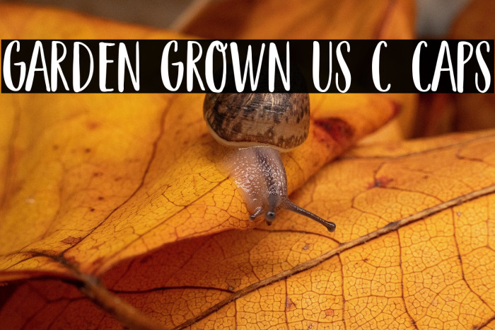 Garden Grown US C Caps Example 2