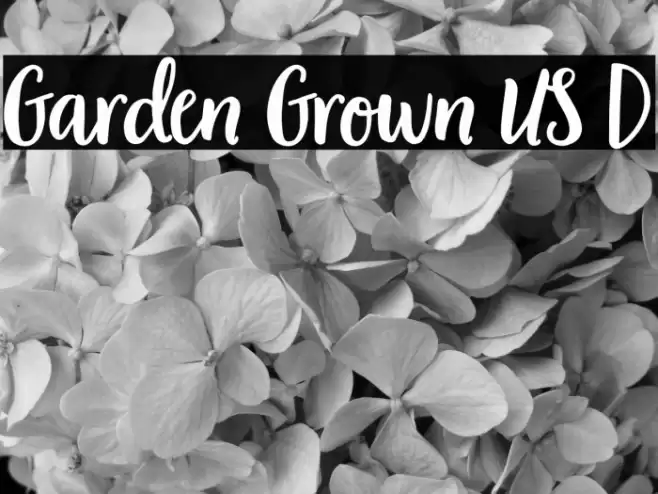 Garden Grown US D Font examples