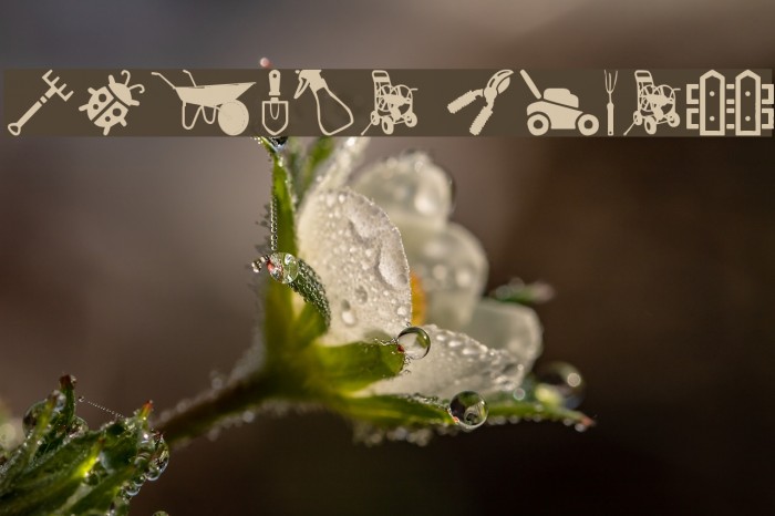 Garden Icons フォント examples