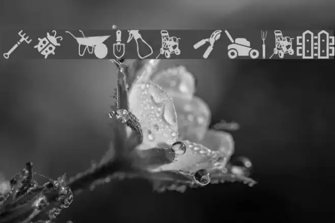 Garden Icons Font examples