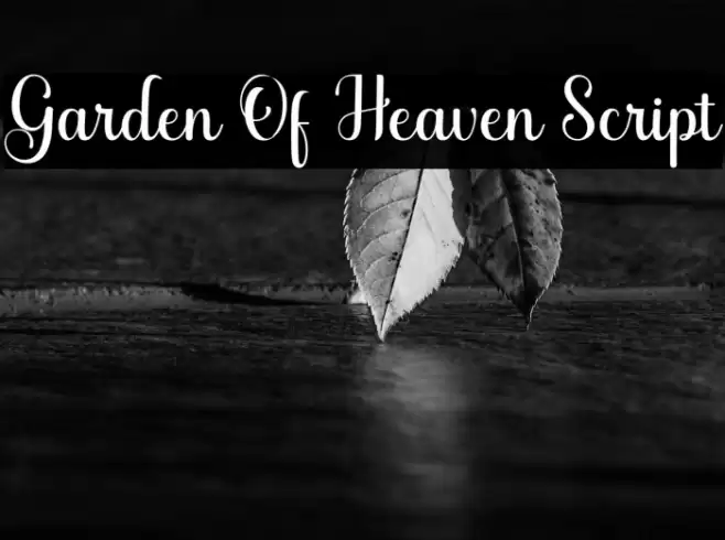 Garden Of Heaven Script Font examples