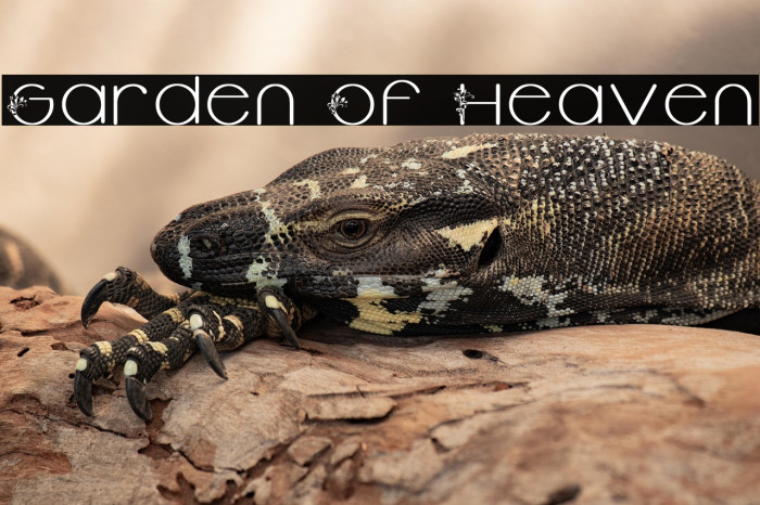 Garden Of Heaven Example 1