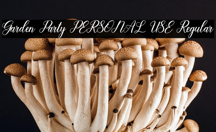 Garden Party PERSONAL USE Regular Example 1