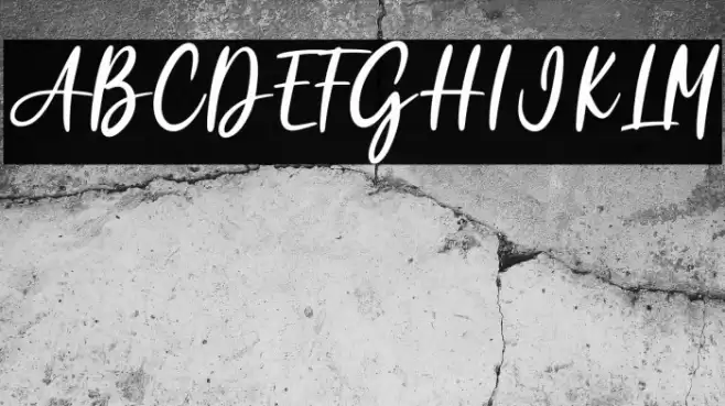 Garden Rose Polices examples