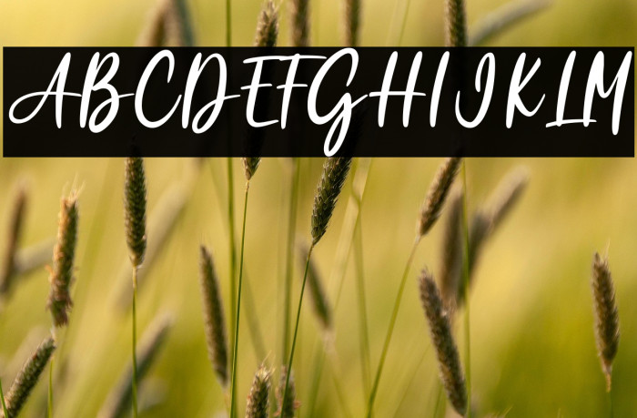 Garden Rose Example 2