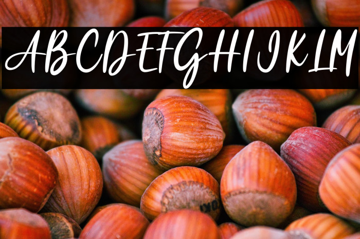 Garden Rose Example 3