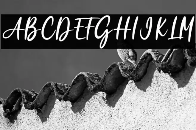 Garden Rose Font examples