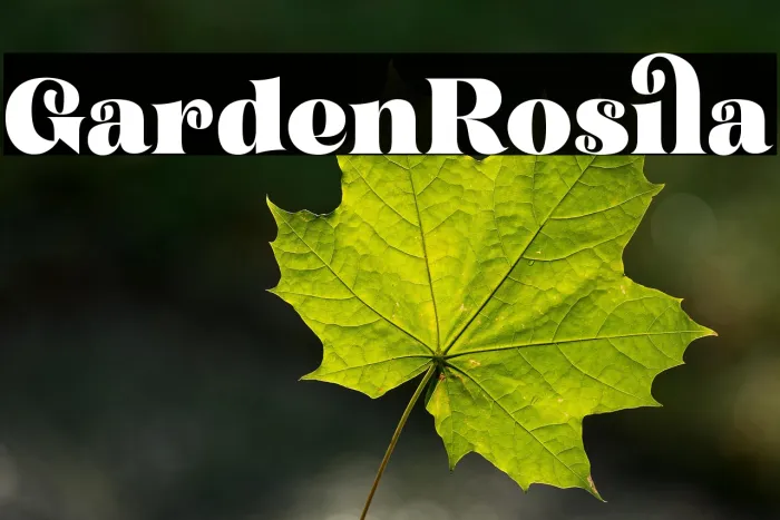 Garden Rosila Example 2