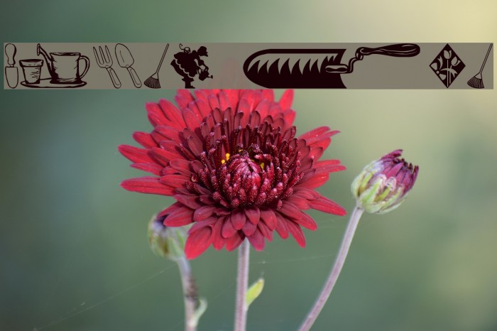Garden Time Font examples