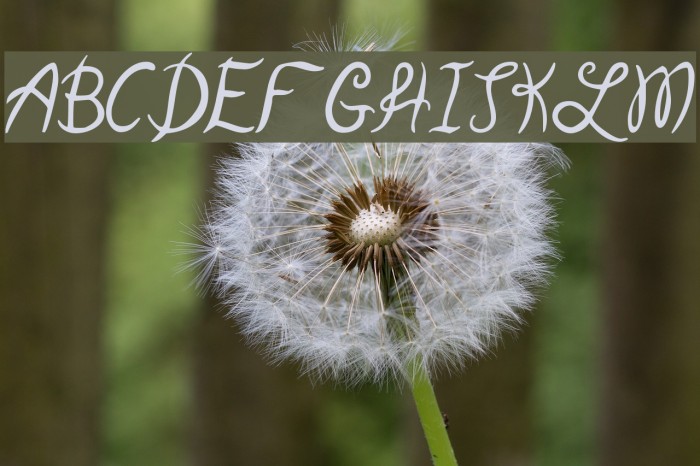 Garden Weasel Font examples