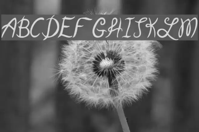 Garden Weasel Schriftart examples