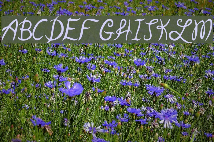 Garden Weasel Font examples