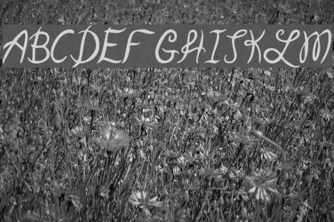 Garden Weasel Schriftart examples