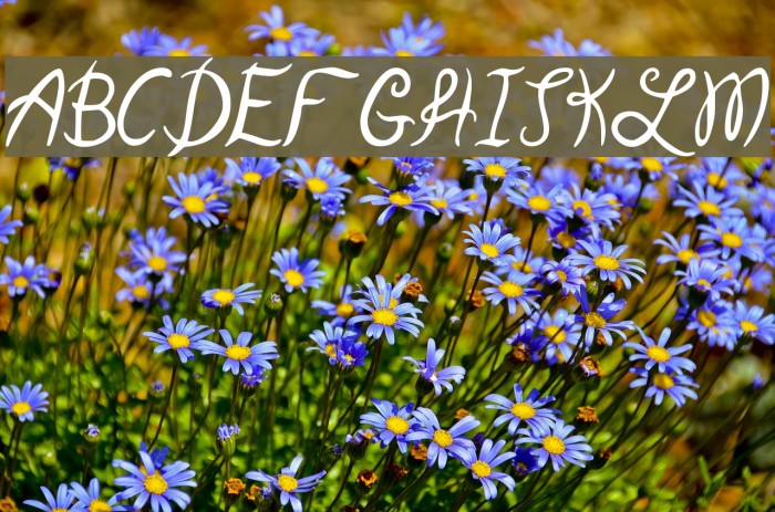 Garden Weasel Font examples