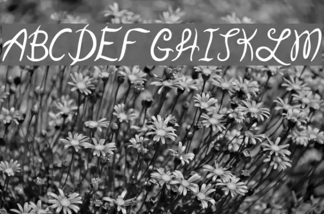 Garden Weasel Schriftart examples