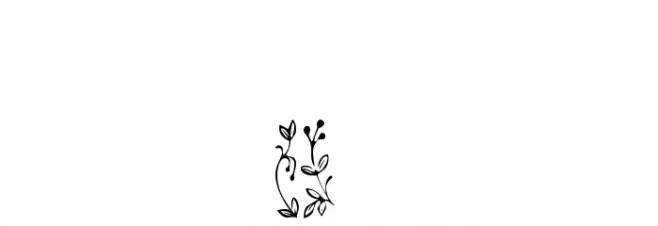 GardenDisplayCaps Font OTHER CHARS