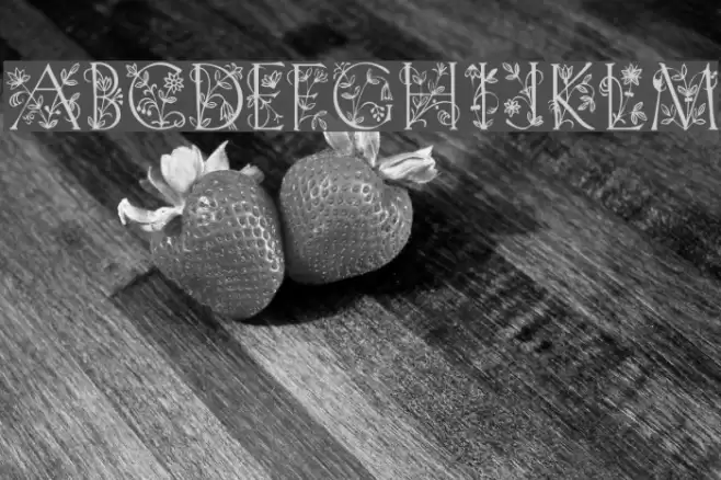 GardenDisplayCaps Font examples