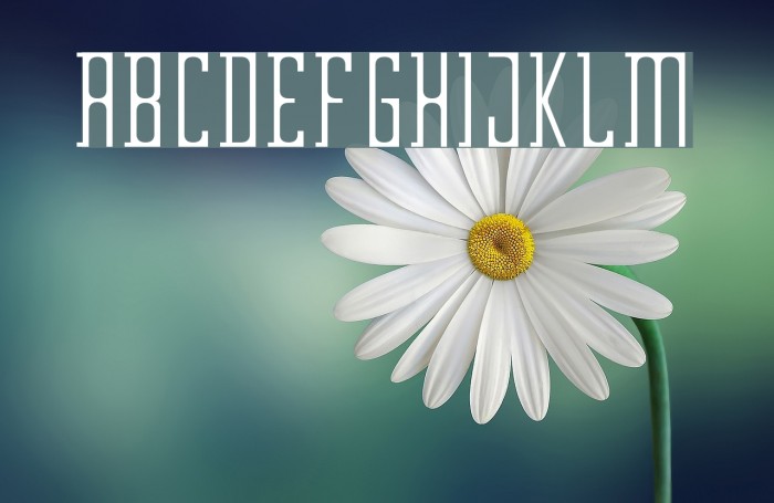Garden Font examples