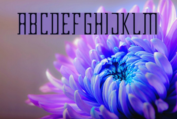 Garden Font examples