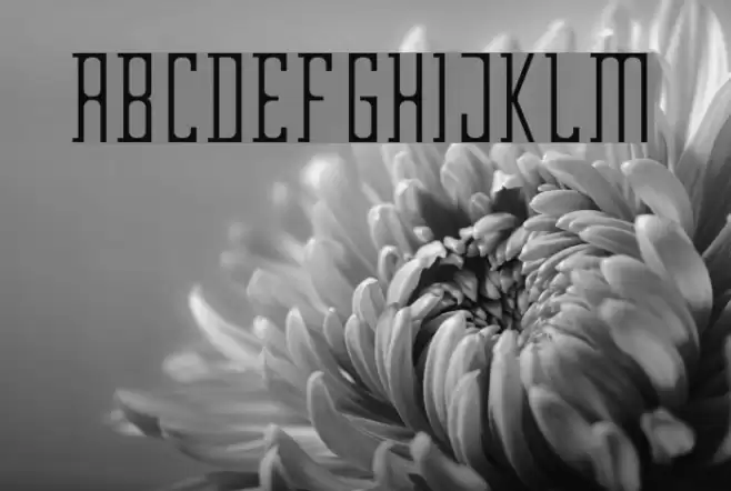 Garden Font examples