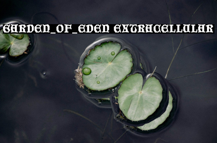 Garden_of_Eden Extracellular Example 1