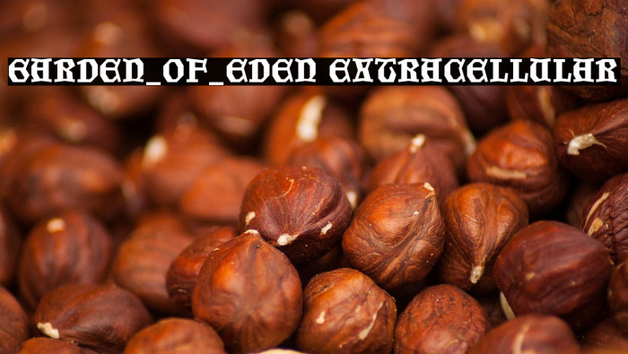 Garden_of_Eden Extracellular Example 2