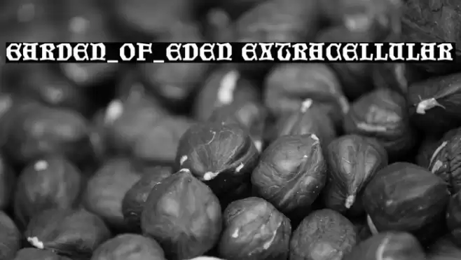 Garden_of_Eden Extracellular Font examples