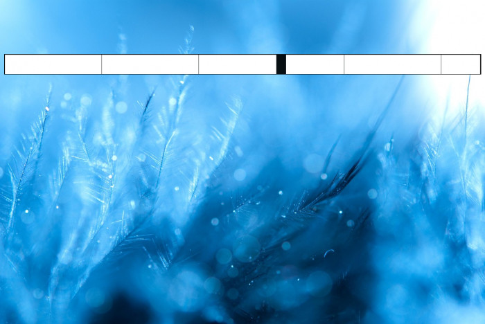 Garden_of_Eden Singularis Example 1