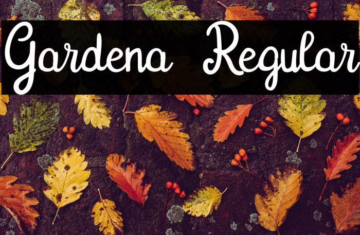 Gardena  Regular Example 1