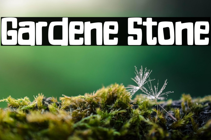 Gardene Stone Example 3