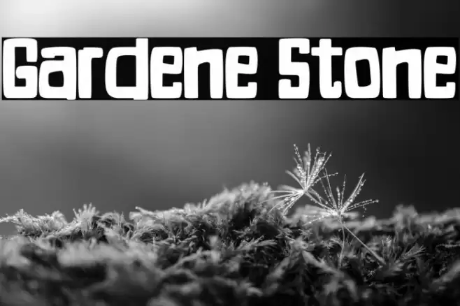 Gardene Stone Font examples