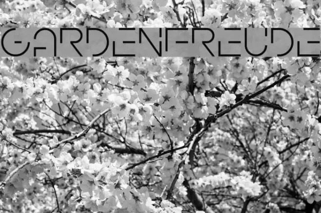 Gardenfreude Font examples