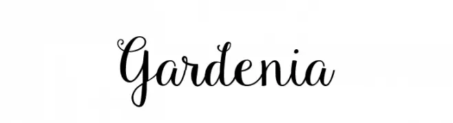 Gardenia  Fuentes Gratis Descargar