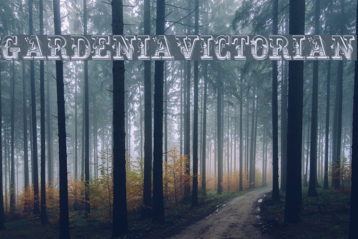 GardeniaVictorian Font examples