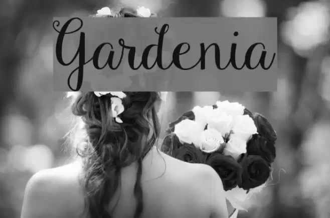 Gardenia Font examples