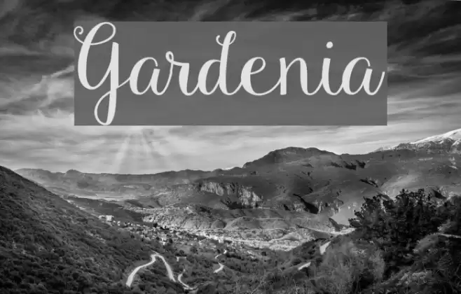 Gardenia Font examples