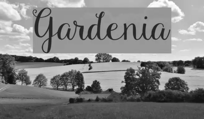 Gardenia Font examples
